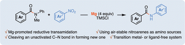 Graphical abstract: Reductive transamidation of tertiary amides with nitroarenes enabled by magnesium and chlorosilane