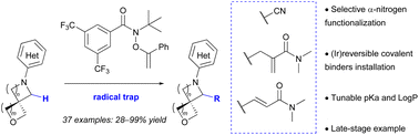Graphical abstract: Introducing covalent warheads on spirocyclic sp2–sp3 fragments by innate C–H functionalization