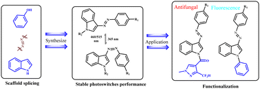 Graphical abstract: Phenolylazoindole scaffold for facilely synthesized and bis-functional photoswitches combining controllable fluorescence and antifungal properties using theoretical methods