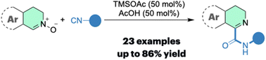 Graphical abstract: Silylacetate-promoted addition reaction of isocyanides to nitrones: effective synthesis of C(1)-carboxamide derivatives