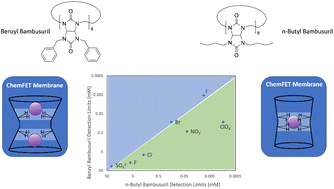 Graphical abstract: Evaluating impacts of bambusuril pocket size and sterics on anion binding trends using ChemFET sensors