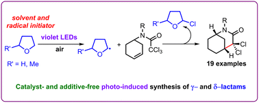 Graphical abstract: Catalyst-free photo-induced aerobic radical synthesis of lactams from N-alkenyl trichloroacetamides in 2-methyltetrahydrofuran as the radical initiator under violet light