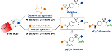 Graphical abstract: Thiosuccinimide enabled S–N bond formation to access N-sulfenylated sulfonamide derivatives with synthetic diversity