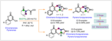 Graphical abstract: Bi(OTf)3-promoted cascade annulation of hydroxy-pyranones and unsaturated γ-ketoesters for the construction of polycyclic bridged pyrano-furopyranones