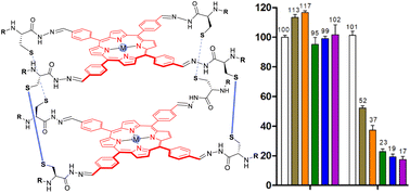 Graphical abstract: Self-assembled porphyrin–peptide cages for photodynamic therapy