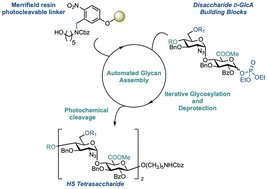 Graphical abstract: Synthesis of a heparan sulfate tetrasaccharide using automated glycan assembly
