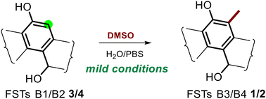 Graphical abstract: Non-enzymatic synthesis of C-methylated fluostatins: discovery and reaction mechanism