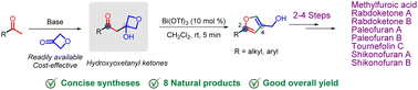 Graphical abstract: Concise and collective total syntheses of 2,4-disubstituted furan-derived natural products from hydroxyoxetanyl ketones