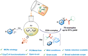 Graphical abstract: Multicomponent reactions to access S-aryl dithiocarbamates via an electron donor–acceptor complex under open-to-air conditions