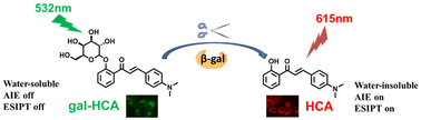 Graphical abstract: A chalcone-based ESIPT and AIE fluorophore for β-gal imaging in living cells