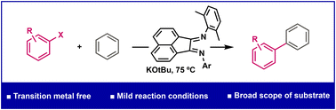 Graphical abstract: α-Diimine-mediated C–H functionalization of arenes for aryl–aryl cross-coupling reactions