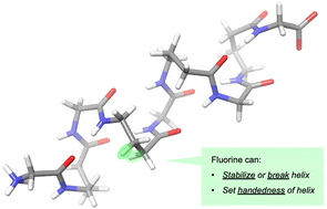 Graphical abstract: The influence of backbone fluorination on the helicity of α/γ-hybrid peptides