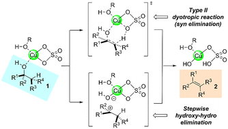 Graphical abstract: Dehydration of alcohols catalyzed by copper(ii) sulfate: type II dyotropic reactions and stepwise mechanisms