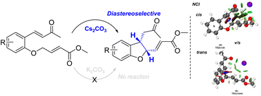 Graphical abstract: Non-covalent interactions in the diastereoselective synthesis of cis-2,3-dihydrobenzofurans: experimental and computational studies