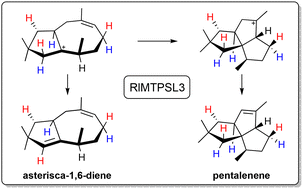 Graphical abstract: Mechanistic characterisation of a sesquiterpene synthase for asterisca-1,6-diene from the liverwort Radula lindenbergiana and implications for pentalenene biosynthesis