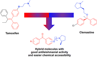 Graphical abstract: Clemastine/tamoxifen hybrids as easily accessible antileishmanial drug leads