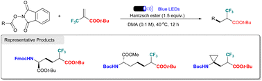 Graphical abstract: Catalyst-free decarboxylative cross-coupling of N-hydroxyphthalimide esters with tert-butyl 2-(trifluoromethyl)acrylate and its application