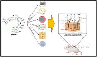 Graphical abstract: Nanotechnology-driven wound healing potential of asiaticoside: a comprehensive review