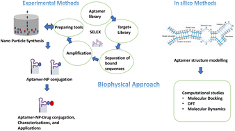Graphical abstract: A comprehensive investigation of the biophysical approach for aptamer functionalized nanoparticles in cancer therapy: a review