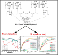 Graphical abstract: Novel pH-sensitive gum ghatti-cl-poly(acrylic acid) composite hydrogel based on graphene oxide for metformin hydrochloride and sodium diclofenac combined drug-delivery systems