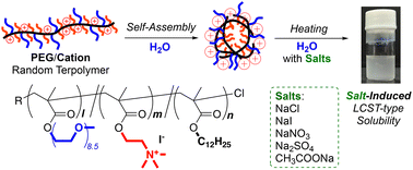Graphical abstract: Self-assembly and salt-induced thermoresponsive properties of amphiphilic PEG/cation random terpolymers in water