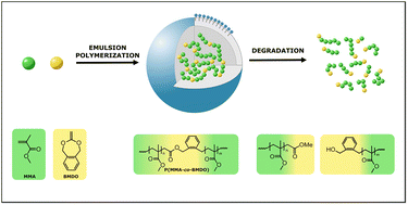 Graphical abstract: Degradable vinyl polymer particles by radical aqueous emulsion copolymerization of methyl methacrylate and 5,6-benzo-2-methylene-1,3-dioxepane