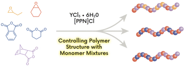 Graphical abstract: Understanding differences in rate versus product determining steps to enhance sequence control in epoxide/cyclic anhydride copolymers