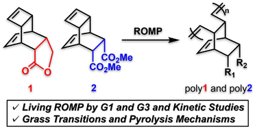 Graphical abstract: Ring-opening metathesis polymerization of ester-functionalized endo-tricyclo[4.2.2.02,5]deca-3,9-dienes and thermal properties of the resulting polymers