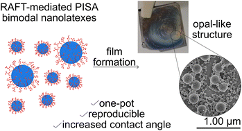 Graphical abstract: Bimodal nanolatexes prepared via polymerization-induced self-assembly: losing control in a controlled manner