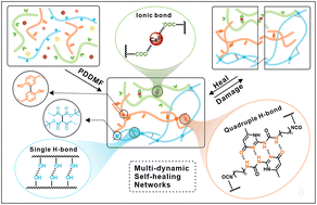 Graphical abstract: Photochemically driven one-step triple dynamic network formation in printable tough hydrogel for self-healing tubular sensors