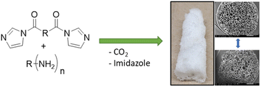 Graphical abstract: Carbamate thermal decarboxylation for the design of non-isocyanate polyurethane foams