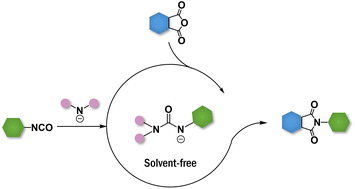 Graphical abstract: Towards high-performance polyurethanes: a mechanism of amine catalyzed aromatic imide formation from the reaction of isocyanates with anhydrides
