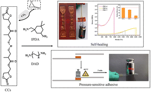 Graphical abstract: Customized thermoplastic polyhydroxyurethanes synthesized from ene-containing cyclic carbonates, dithiols and diamines: design, mechanical properties and applications in adhesives