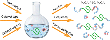 Graphical abstract: Influence of polymerisation conditions on the kinetics of poly(lactic-co-glycolic acid)-b-poly(ethylene glycol)-b-poly(lactic-co-glycolic acid) triblock synthesis and the occurrence of transesterification side reactions