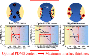 Graphical abstract: Preparation and compatibility mechanism study of the polyurethane-polysiloxane copolymer with tunable polysiloxane content for TPU/MVQ blends with comfortable texture