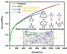 Graphical abstract: Multiple hierarchical dynamic interactions enabled a robust, stretchable and room temperature self-healing elastomer