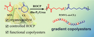 Graphical abstract: Chemoselective and controlled ring-opening copolymerization of biorenewable α-methylene-δ-valerolactone with ε-caprolactone toward functional copolyesters