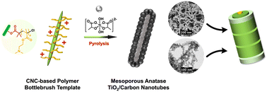 Graphical abstract: Polymer brush-grafted cellulose nanocrystals for the synthesis of porous carbon-coated titania nanocomposites