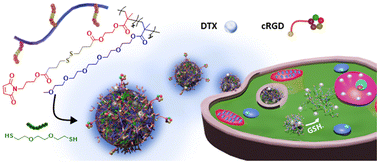 Graphical abstract: Redox-responsive nanogels for drug-delivery: thiol–maleimide and thiol–disulfide exchange chemistry as orthogonal tools for fabrication and degradation