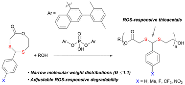 Graphical abstract: Synthesis of ROS-responsive poly(thioacetal)s with narrow molecular weight distributions via lactone ring-opening polymerization