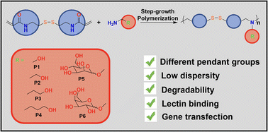 Graphical abstract: Degradable glycopolymers for saRNA transfection