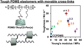 Graphical abstract: Preparation of mechanically tough poly(dimethyl siloxane) through the incorporation of acetylated cyclodextrin-based topologically movable cross-links