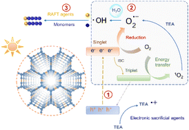 Graphical abstract: Ligand regulation strategy of COF-based photocatalyst for ROS-mediated RAFT polymerization