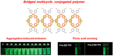Graphical abstract: From luminescent π-conjugated macrocycles to bridged multi-cyclic π-conjugated polymers: cyclic topology, aggregation-induced emission, and explosive sensing