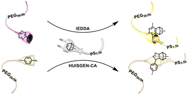 Graphical abstract: Tetrazine-norbornene versus azide-norbornene ligation: evaluating the toolbox for polymer–polymer coupling