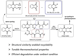 Graphical abstract: Polyester networks from structurally similar monomers: recyclable-by-design and upcyclable to photopolymers