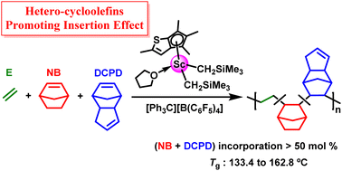 Graphical abstract: Terpolymerization of ethylene, norbornene and dicyclopentadiene catalyzed by modified cyclopentadienyl scandium complexes