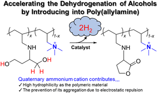 Graphical abstract: Accelerating the dehydrogenation reaction of alcohols by introducing them into poly(allylamine)