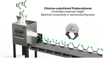 Graphical abstract: Revealing the physical properties of chlorine-substituted poly(acetylene)