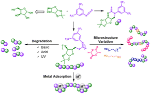 Graphical abstract: Polymers from sugars and isothiocyanates: ring-opening copolymerization of a d-xylose anhydrosugar oxetane